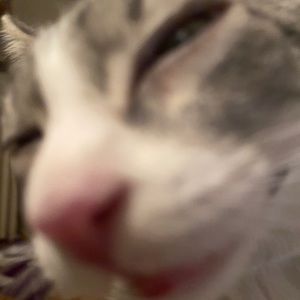 Meet your Posher, Noah